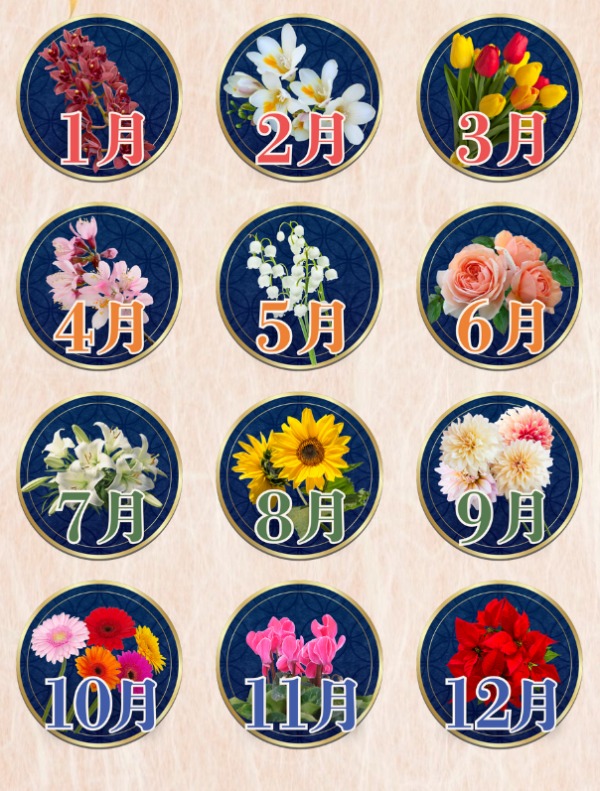 星座選択イメージ