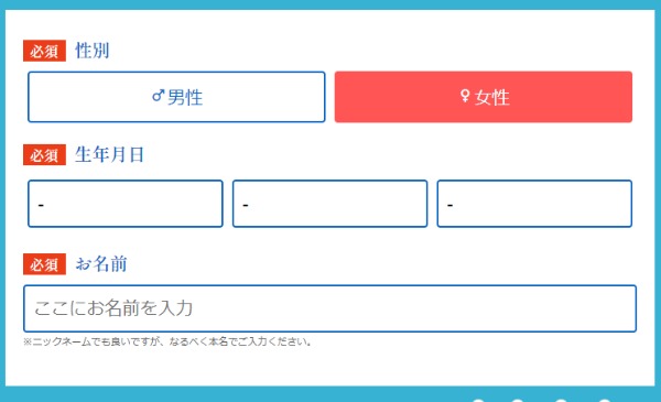 入力フォームイメージ