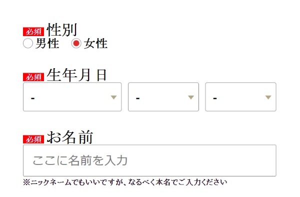 入力フォームイメージ